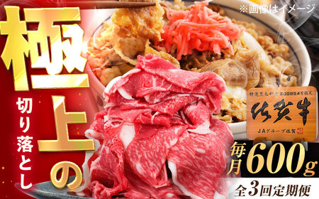 【3回定期便】佐賀牛 切り落とし 600g /MKミート武雄[UEM031] 切り落とし