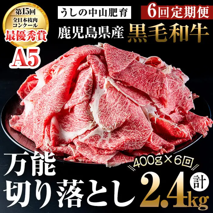 【定期便全6回】＜A4・A5等級＞黒毛和牛堪万能切り落とし肉 計2.4kg（400g×1P・全6回） 黒毛和牛 和牛 切り落とし 肉 牛肉 国産 九州産 鹿児島県産 すき焼き しゃぶしゃぶ 牛丼 小分け A5 日本一 ランキング 人気 定期便 t0072-005