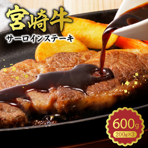 宮崎牛 サーロインステーキ600g N0140-YB727