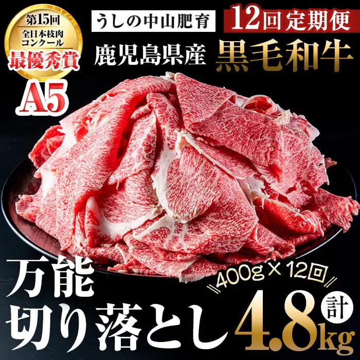 【定期便全12回】＜A4・A5等級＞黒毛和牛堪万能切り落とし肉 計4.8kg（400g×1P・全12回） 黒毛和牛 和牛 切り落とし 肉 牛肉 国産 九州産 鹿児島県産 すき焼き しゃぶしゃぶ 牛丼 小分け A5 日本一 ランキング 人気 定期便 t0144-001