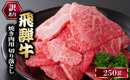 ★お試し★250g　訳あり 飛騨牛 焼き肉用 切り落とし 国産 和牛