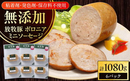 放牧豚 ボロニアミニソーセージ 計1，080g（180g×6） 豚肉 ソーセージ 無添加 無塩せき 北海道 [AXBA107]