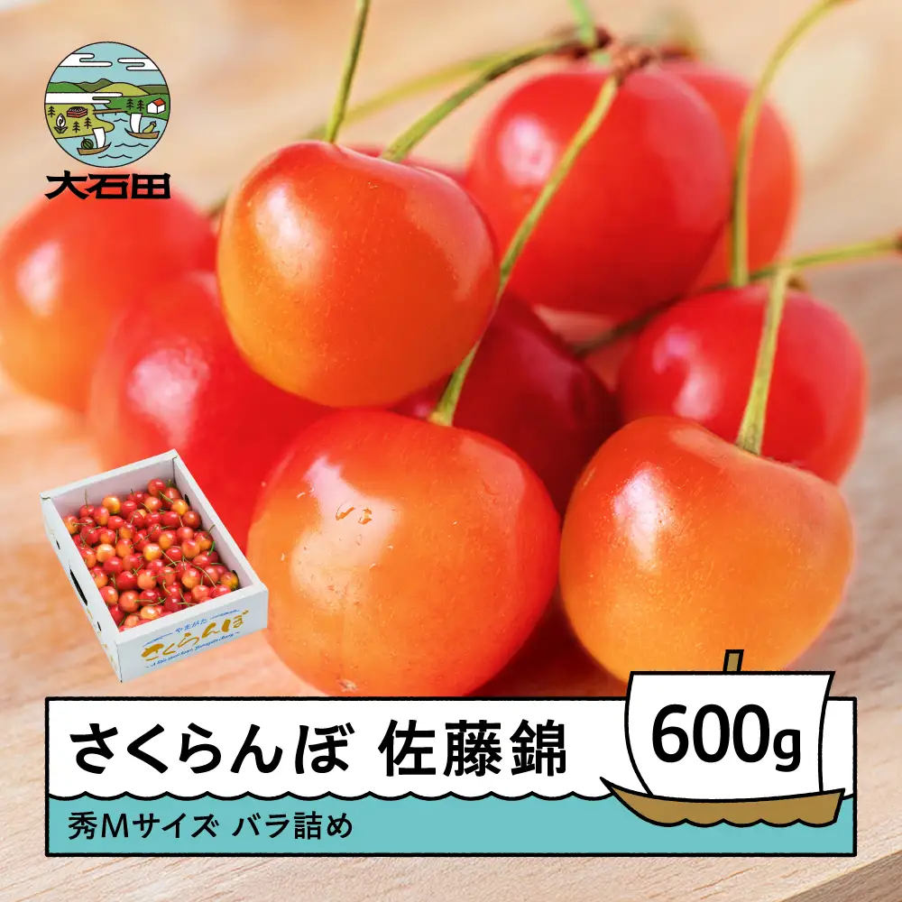 令和8年産 さくらんぼ 佐藤錦 秀M 600g ns-snsmb600
