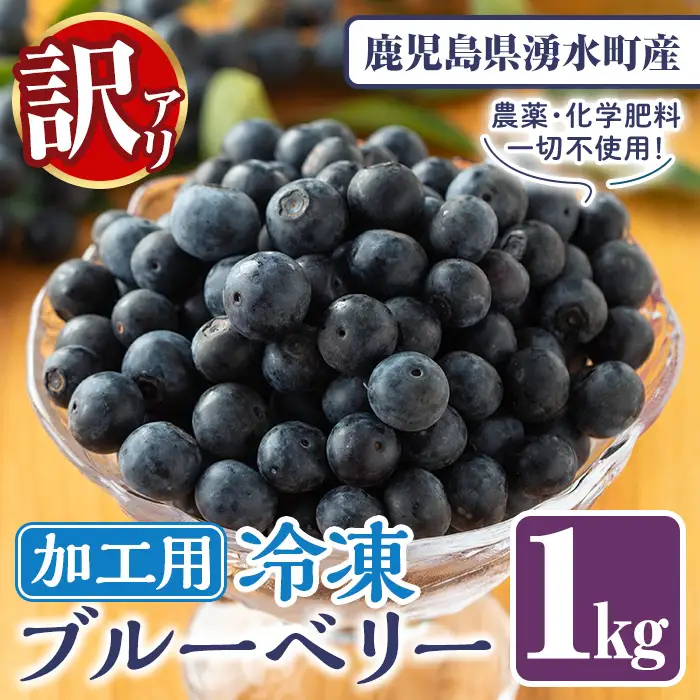 先行予約 訳あり 加工用 冷凍 ブルーベリー 1kg 果物 フルーツ ベリー【体験型観光農園さつまドリームファーム】_y528