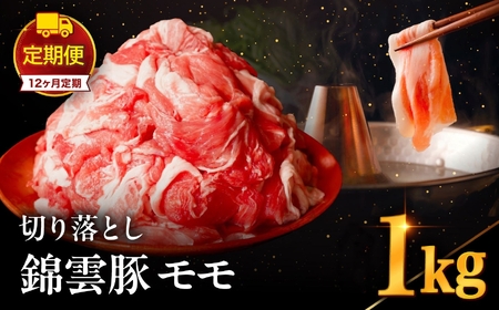 【 定期便 12回 】高級 ブランド 錦雲豚 モモ 切り落とし 1kg | お肉 肉 おにく 豚 ぶた 豚肉 もも モモ肉 もも肉 豚もも 切落し 定期 大分県 中津市