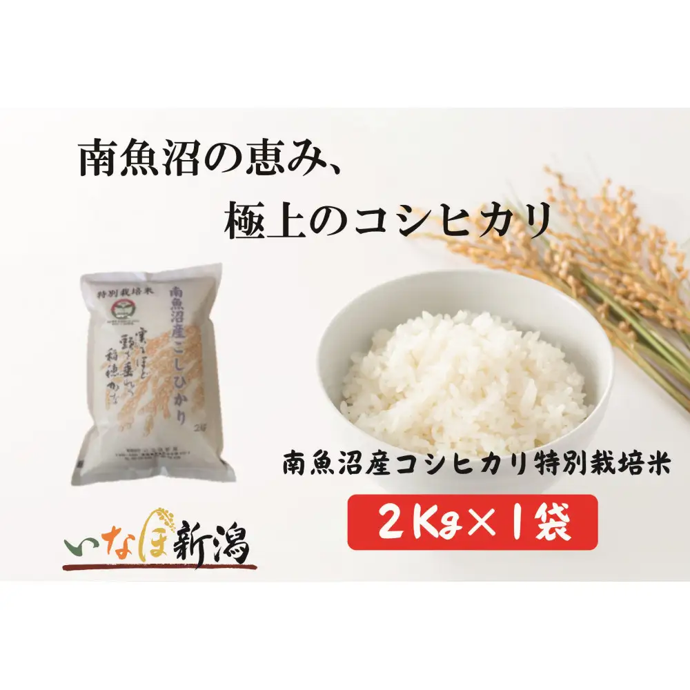【令和7年産米】南魚沼産コシヒカリ特別栽培米 白米 2kg【銘柄米 ブランド米 精米 こしひかり コシヒカリ 魚沼産 新潟米 産地直送 お米 米 こめ コメ ご飯 御飯 ごはん】