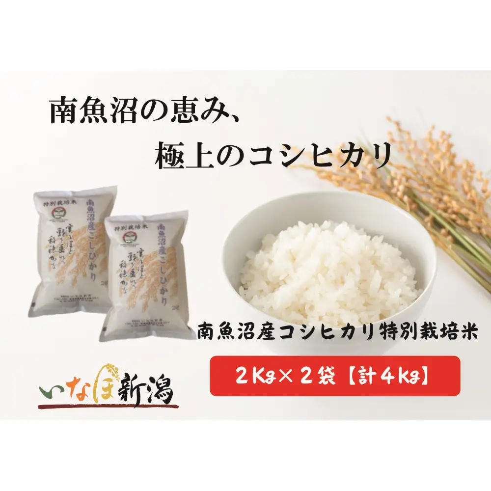【令和7年産米】南魚沼産コシヒカリ特別栽培米 白米 2kg×2袋 計4kg【銘柄米 ブランド米 精米 こしひかり コシヒカリ 魚沼産 新潟米 産地直送 お米 米 こめ コメ ご飯 御飯 ごはん】