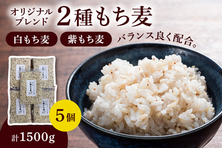 二種もち麦 5個（計1,500g）もち麦