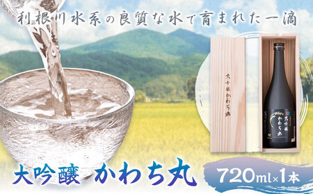 大吟醸かわち丸 720ml 1本《30日以内に出荷予定(土日祝除く)》まちづくり河内株式会社かわち夢楽 酒 日本酒 お酒 大吟醸 地酒 茨城県 河内町