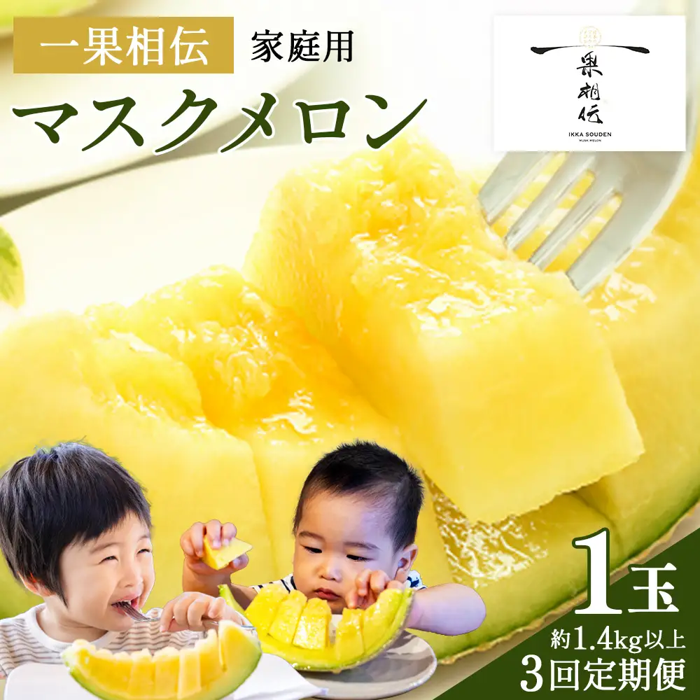 【３回定期便】マスクメロン（家庭用） 1玉入 青肉品種 高級メロン！ ／ マスクメロン 果物 フルーツ ギフト 農家直送  Wtn-0038