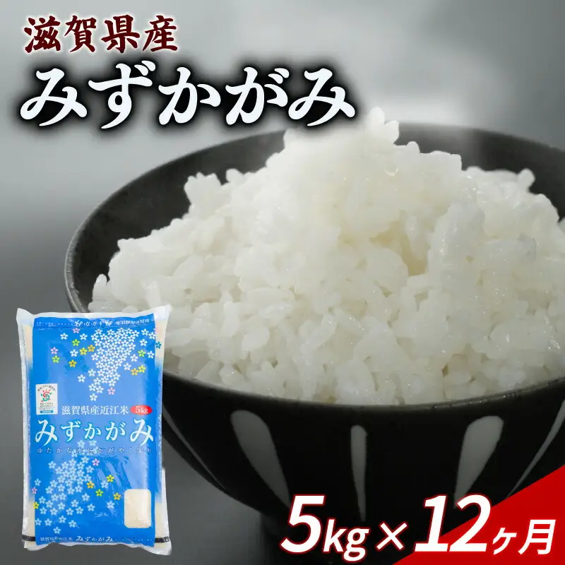 みずかがみ 5kg 12ヶ月定期便 「みずかがみ」150,000円