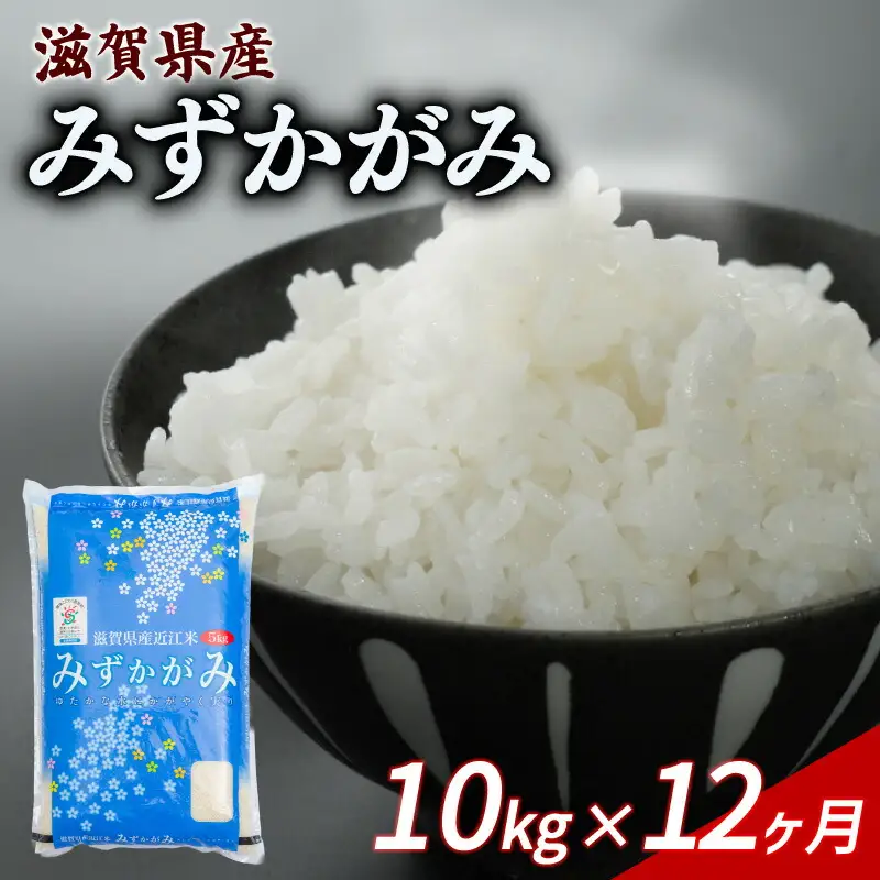 【12ヶ月定期便】 みずかがみ 10kg 令和7年産 ミズカガミ 定期便 お米 米