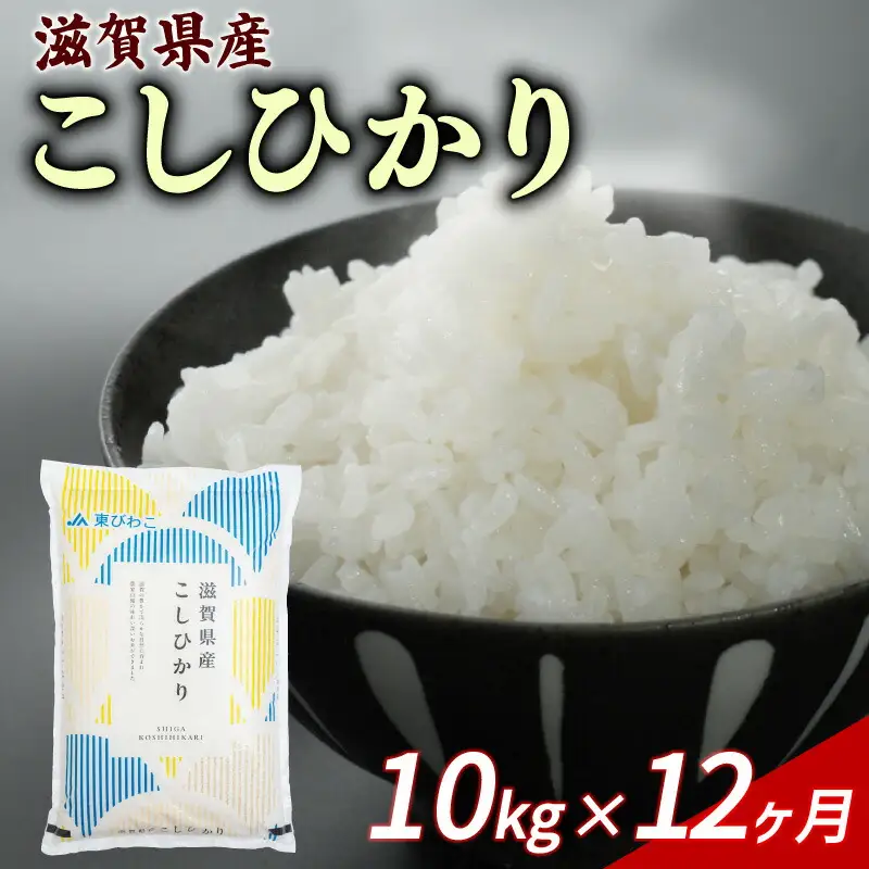 こしひかり 10kg 12ヶ月定期便 「コシヒカリ」300,000円