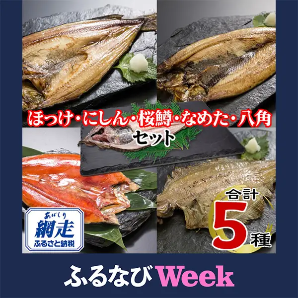 【ふるなびWEEK対象】網走加工の一夜干しセット 5種B ABE122