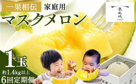 【６回定期便】マスクメロン（家庭用） 1玉入 青肉品種 高級メロン！ ／ マスクメロン 果物 フルーツ ギフト 農家直送 Wtn-0039