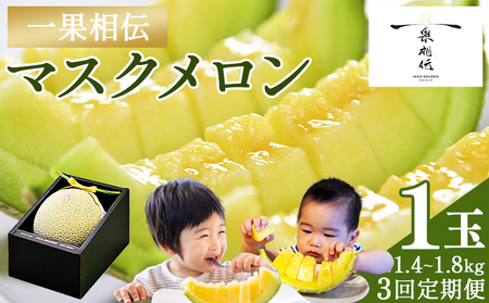 【3回定期便】マスクメロン定期便【高知県産マスクメロン】 全3回 果物・フルーツ メロン めろん 定期便 定期便 Wtn-0040