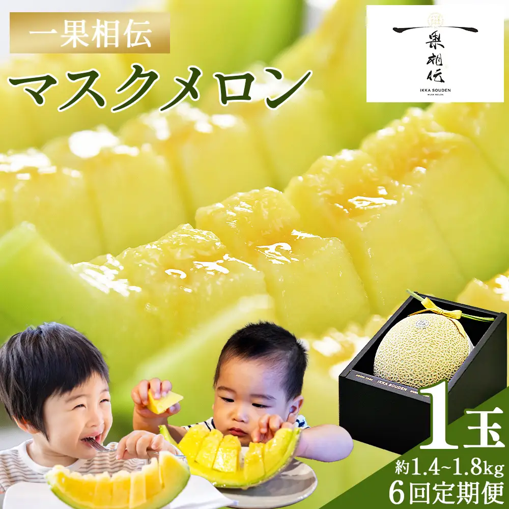 【メロン定期便】マスクメロン（家庭用）1玉【6か月連続】 フルーツ 果物 6回 Wtn-0041