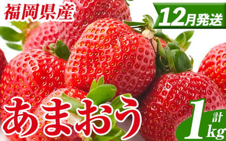 いちご あまおう【26年12月以降順次発送予定】計1kg 250g×4P |イチゴ エフビーネット as47-002