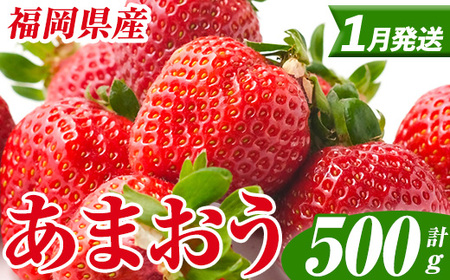 いちご あまおう【27年1月中旬以降順次発送予定】計500g 250g×2P |イチゴ エフビーネット as47-003