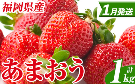 いちご あまおう【27年1月中旬以降順次発送予定】計1kg 250g×4P |イチゴ エフビーネット as47-004