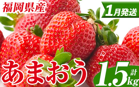 いちご あまおう【27年1月中旬以降順次発送予定】計1.5kg 250g×6P |イチゴ エフビーネット as47-005