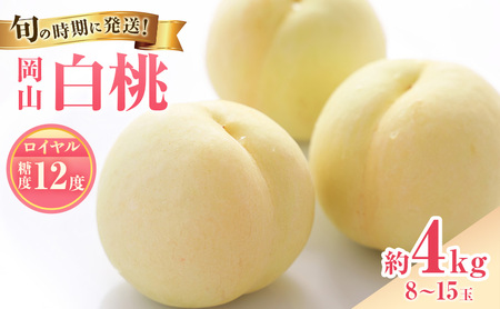 桃 2026年 先行受付 白桃 特秀 ロイヤル 大玉 約4kg(8～15玉) 岡山県