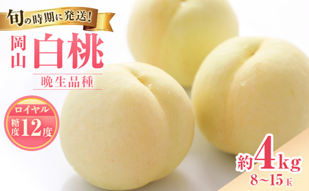 桃 2026年 先行受付 白桃 特秀 ロイヤル 大玉 晩生品種 約4kg(8～15玉) 岡山