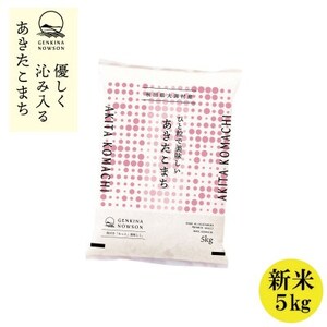 秋田県産 予約受付開始!あきたこまち【令和7年産】無洗米5kg(5kg×1)《10月中旬より発送》【配送不可地域：離島・沖縄県】【1637016】