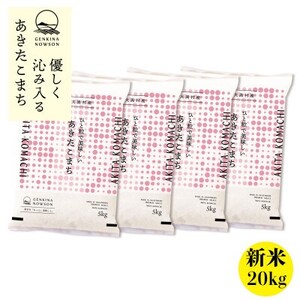 秋田県産 予約受付開始!あきたこまち【令和7年産】白米20kg(5kg×4)《10月中旬より発送》【配送不可地域：離島・沖縄県】【1637020】