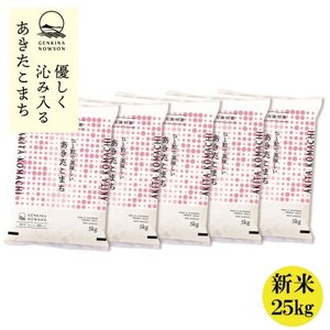 秋田県産 予約受付開始!あきたこまち【令和7年産】無洗米25kg(5kg×5)《10月中旬より発送》【配送不可地域：離島・沖縄県】【1637082】