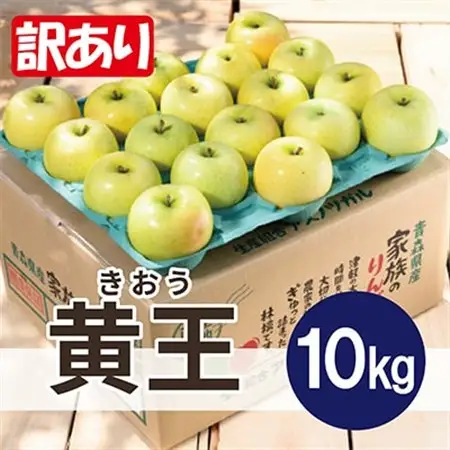 【26年8月下旬より順次発送】平均糖度12度以上!  訳あり 青森りんご 黄王(きおう) 約10kg【配送不可地域：離島・沖縄県】【1611781】