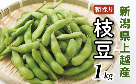 【数量限定】朝採りを産地から当日発送！ 新潟上越「高田圃場」の採れたて枝豆 たっぷり1kg 上越市 えだまめ