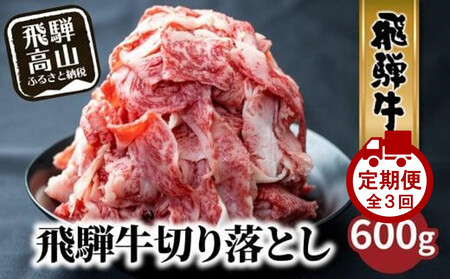 【定期便全3回】飛騨牛 訳あり 切り落とし 600g ｜牛肉 定期便 丸明 LR104