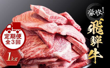 【定期便全3回】飛騨牛 訳あり焼肉1kg 切り落とし｜2ヶ月に1回 牛肉 訳あり 丸明 LR105