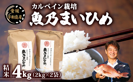 令和7年産 コシヒカリ 魚乃まいひめ カルペイン栽培 4kg (2kg×2袋) 精米 秀長水産 お米 お米 G013-016009