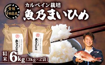 令和7年産 コシヒカリ 魚乃まいひめ 6kg 精米 秀長水産 コシヒカリ G018-016010