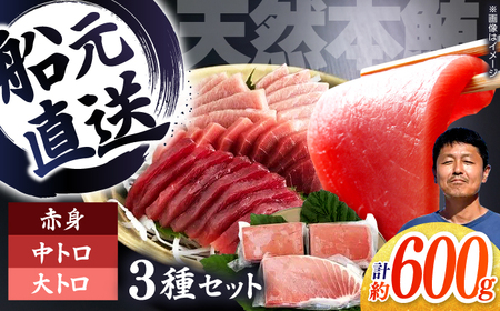天然本鮪 大トロ 中トロ 赤身 セット（各約200g） / 高知 魚介 海鮮 鮮魚 魚 マグロ まぐろ 鮪 本鮪 新鮮 天然 刺身 寿司 セット 【株式会社Dorago】[ATAM055]