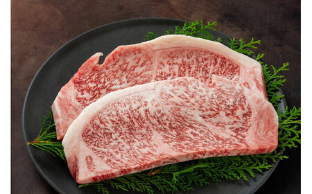 土佐黒牛 サーロイン ステーキ 約400g（約200g×2）/ 贈答用 黒牛 土佐 和牛 牛 肉 お肉 ウデ モモ バラ 食品 冷凍 高知 【高知県食肉センター株式会社】[ATFC039]