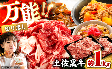 土佐黒牛 切り落し 約1kg（約500g×2） / 贈答用 黒牛 土佐 和牛 牛 肉 お肉 ウデ モモ バラ 食品 冷凍 高知 【高知県食肉センター株式会社】[ATFC040]