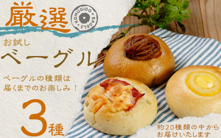 【お試し】ベーグル 3種セット 冷凍ベーグル