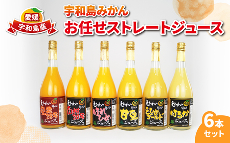 みかんジュース 宇和島みかん ストレート ジュース 6本 WF H020-024030