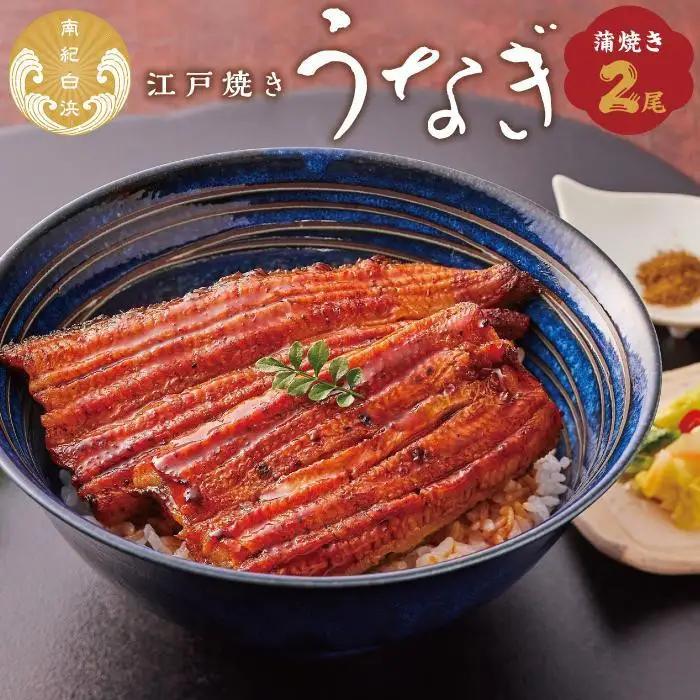 【定期便3回 毎月発送】〈うなぎ専門店やまのうち〉江戸焼き うなぎ 蒲焼き 2尾