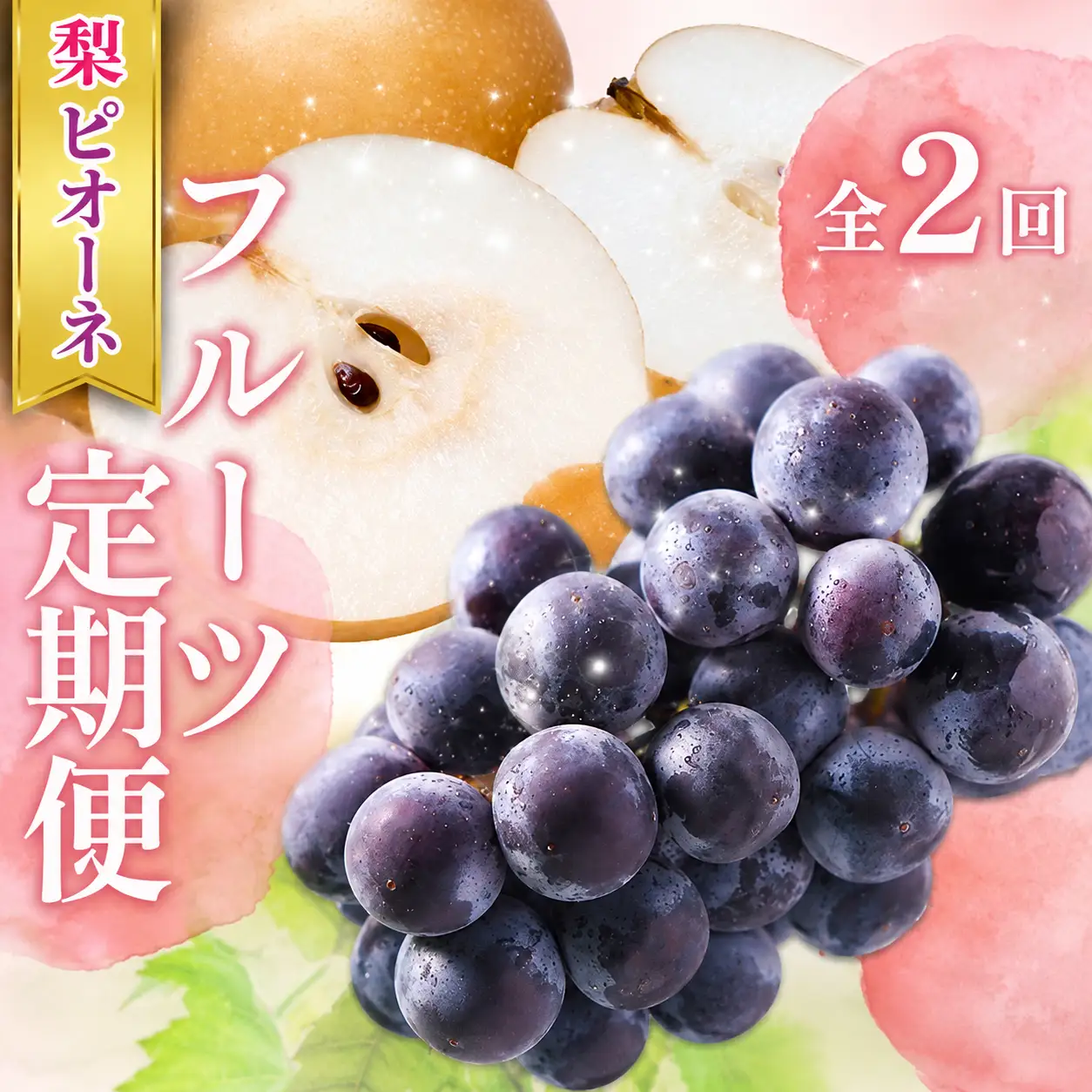 【全2回 】かつらぎ町産 フルーツ定期便（梨・ピオーネ）フルーツ王国よりお届け♪ / なし ピオーネ ぶどう 種無し たねなし フルーツ 果物 定期便 セット 和歌山 旬 甘い 先行予約【A-frks902A】
