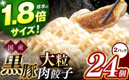 【標準の1.8倍サイズ】国産黒豚大粒肉餃子　2パック（24個）