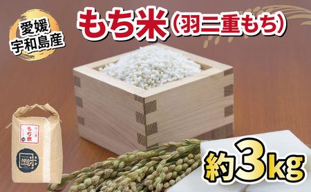 もち米 羽二重 もち米 3kg ワールドファーマーズ G010-024029