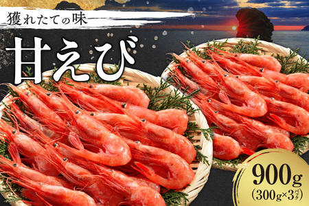 北海道余市産 甘エビ 900g 冷凍 甘えび_Y022-0024