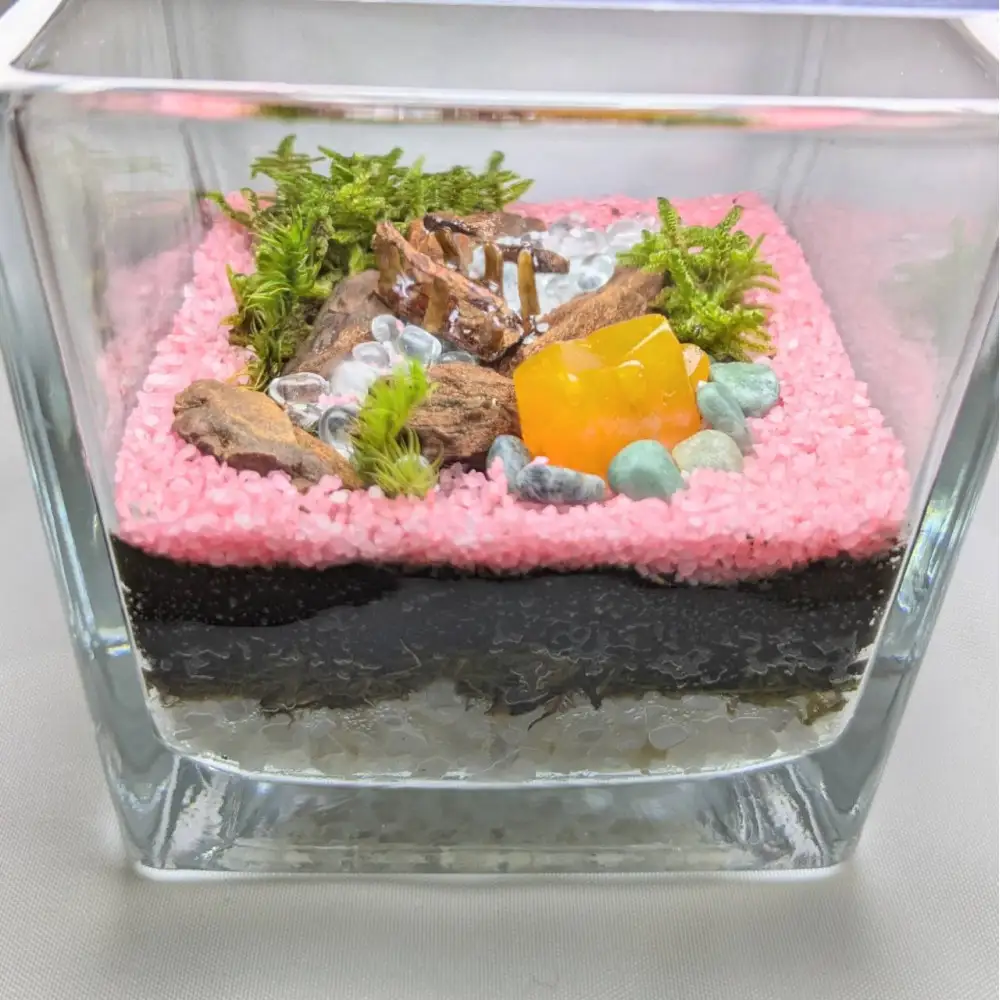 ととのいの湯、テラリウムにて