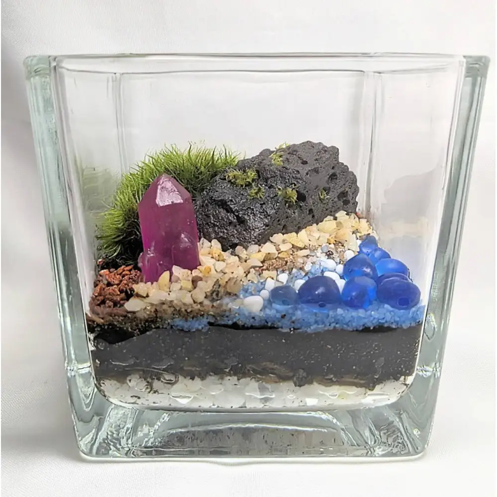 ポートの記憶、テラリウムに