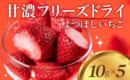 フリーズドライいちご よつぼし 豊橋産 苺