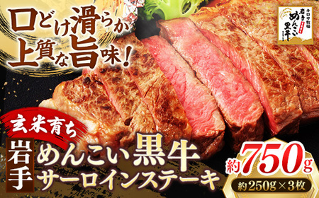 岩手めんこい黒牛 サーロイン ステーキ 約750g （250g×3） 国産 牛肉 肉 めんこい黒牛 サーロイン ステーキ 焼肉 小分け 冷凍 玄米育ち お肉 岩手県 岩手町